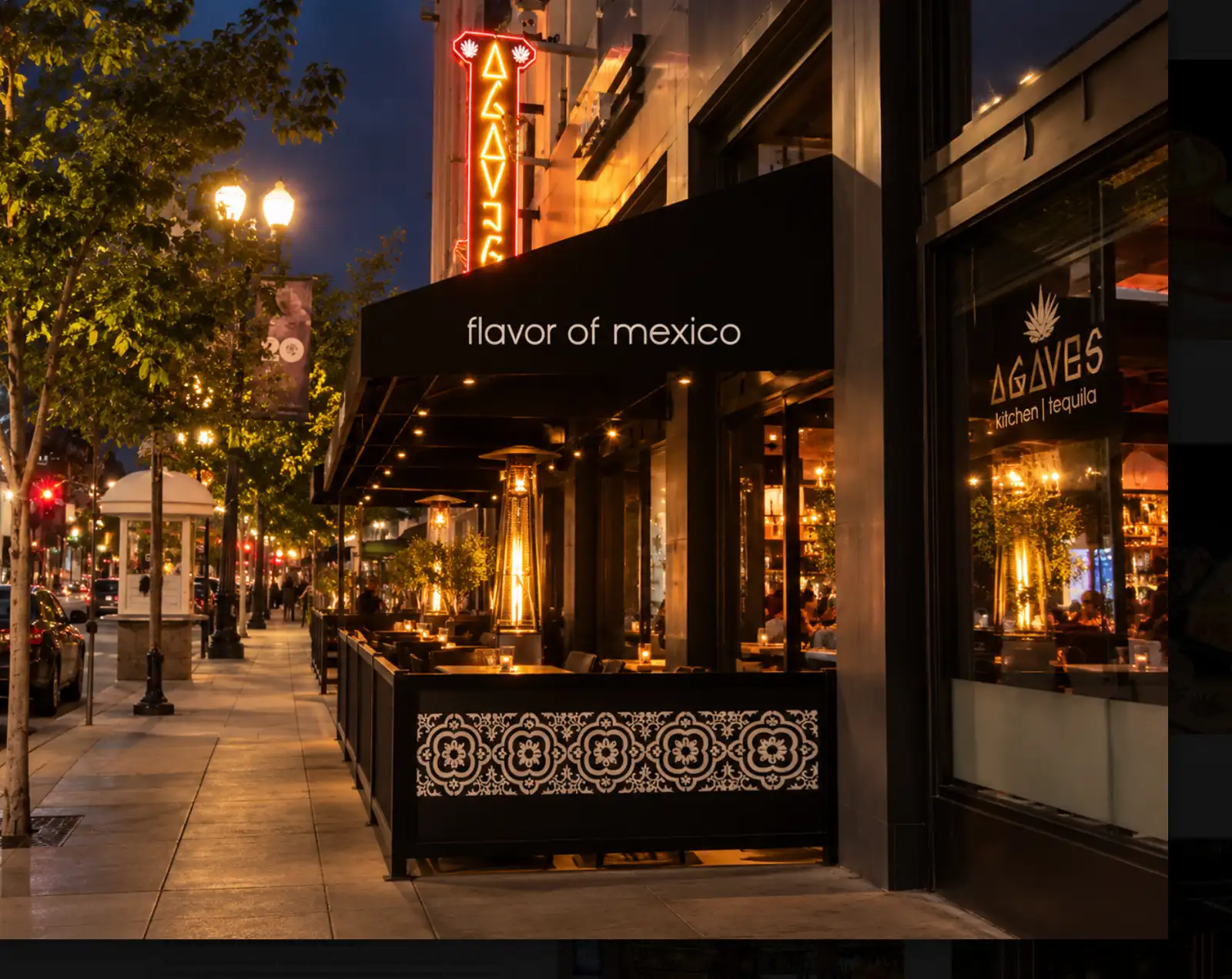 Agaves exterior at night